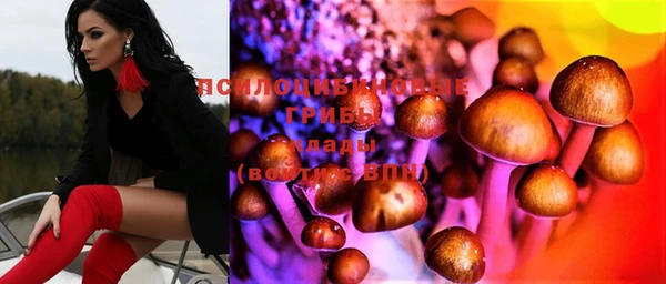 спайс Пересвет