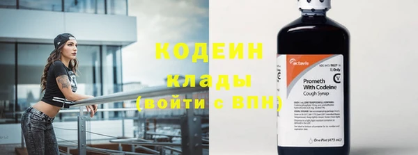 сатива Покачи