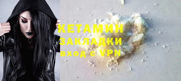 сатива Покачи