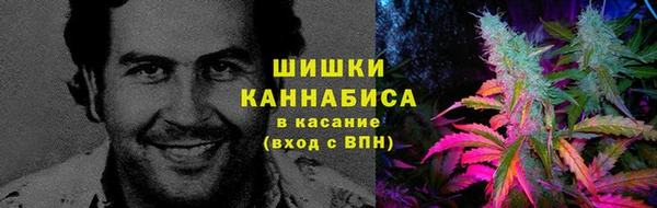 спайс Пересвет
