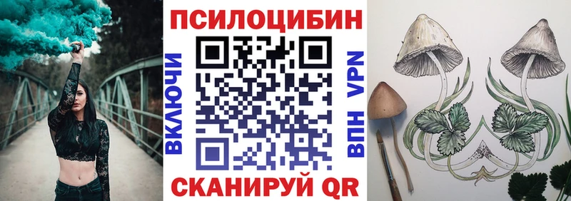 где продают наркотики  Алексеевка  ОМГ ОМГ ТОР  нарко площадка наркотические препараты  Галлюциногенные грибы ЛСД 