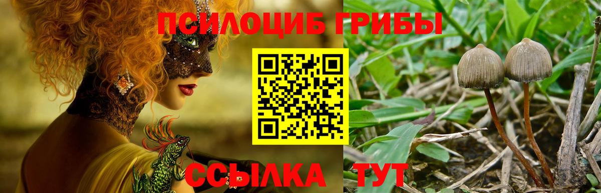Алексеевка  Псилоцибиновые грибы Psilocybine cubensis  Псилоцибиновые грибы MAGIC MUSHROOMS  Вход с VPN 