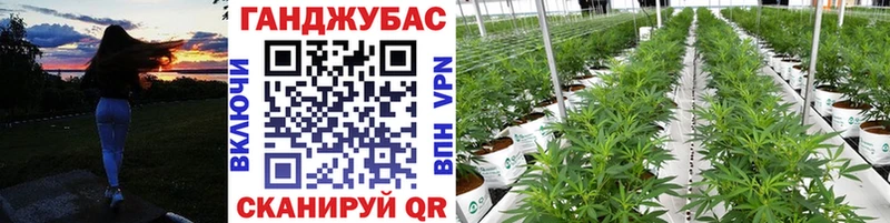 hydra ТОР  продажа наркотиков  Алексеевка  Шишки марихуана White Widow 