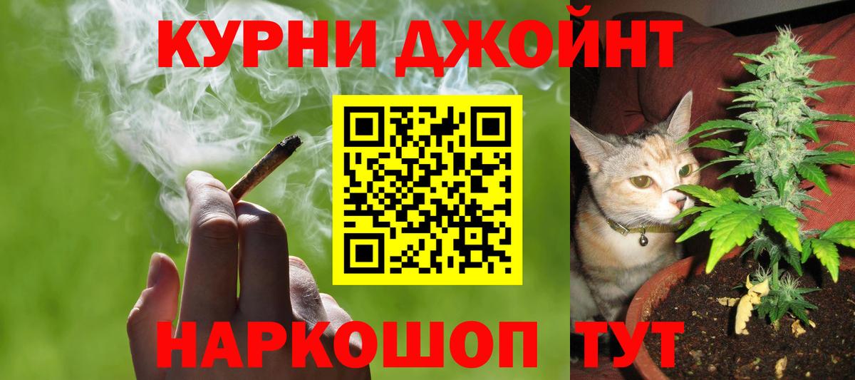 МАРИХУАНА сатива Алексеевка